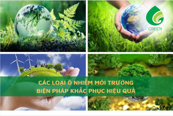 Các Loại Ô Nhiễm Môi Trường Biện Pháp Khắc Phục Hiệu Quả