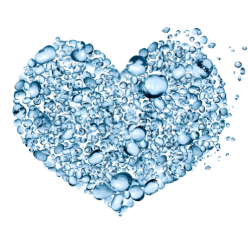 NGÀNH NGHỀ KINH DOANH