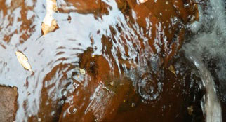 Hệ thống xử lý nước nhiễm mặn