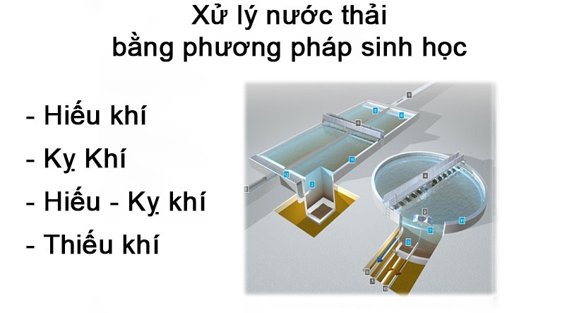 Các khó khăn và thách thức gặp phải khi áp dụng phương pháp sinh học trong xử lý nước thải là gì?
