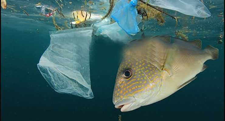 9+ hệ thống xử lý nước thải sinh hoạt cho gia đình, công ty