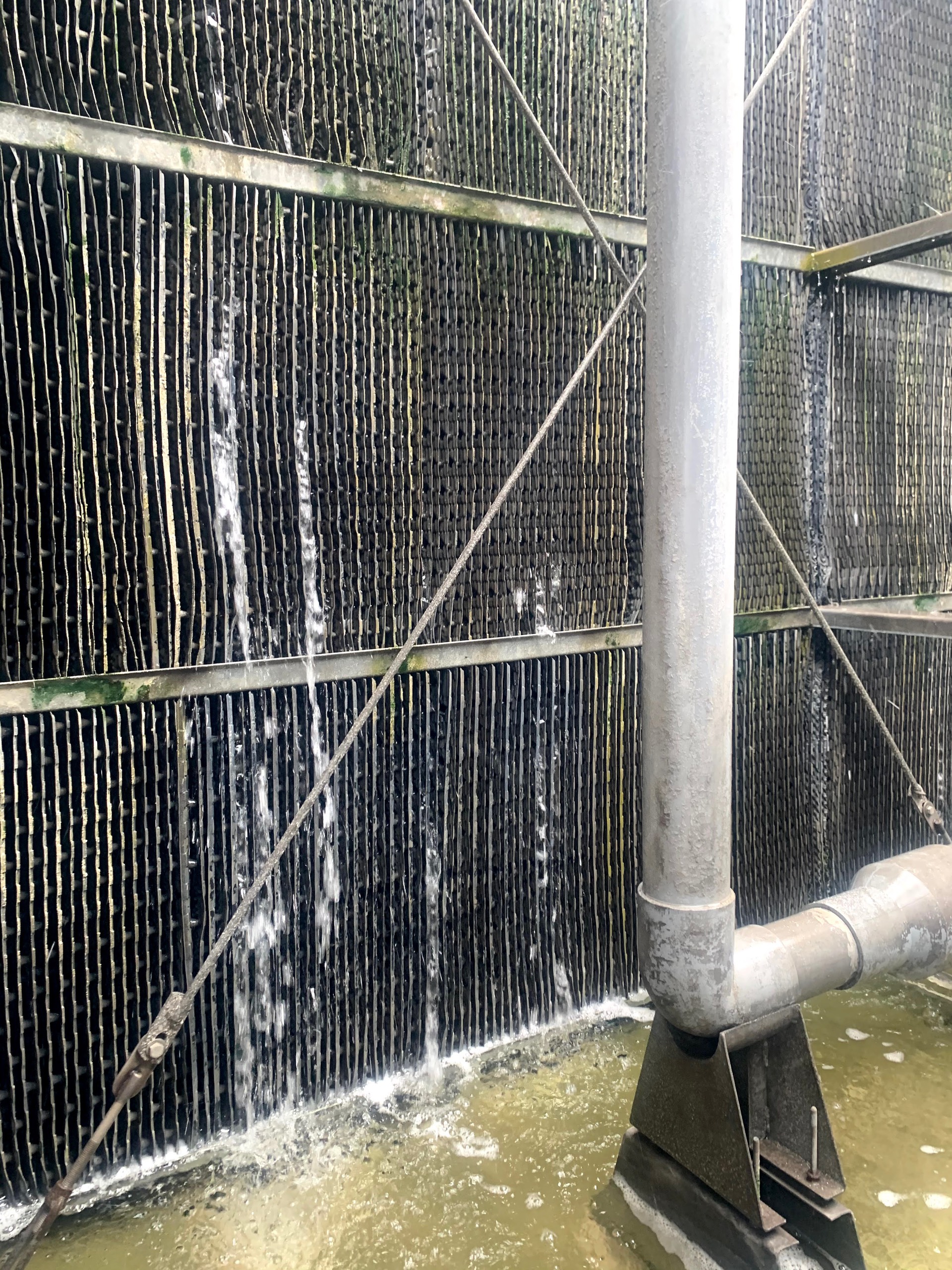 Giải pháp xử lý rong rêu cho tháp giải nhiệt