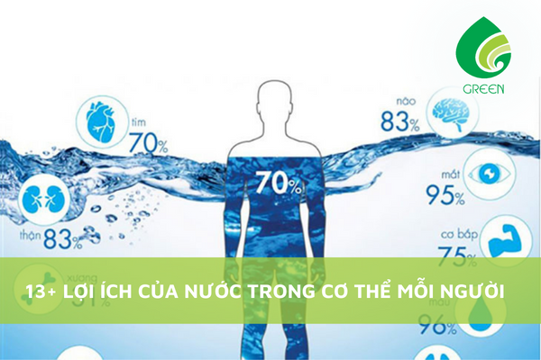 13+ Lợi Ích Của Nước Trong Cơ Thể Mỗi Người