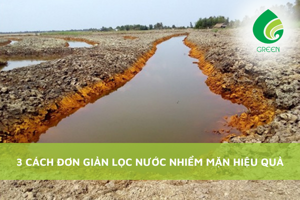 3 Cách Đơn Giản Lọc Nước Nhiễm Mặn Hiệu Quả