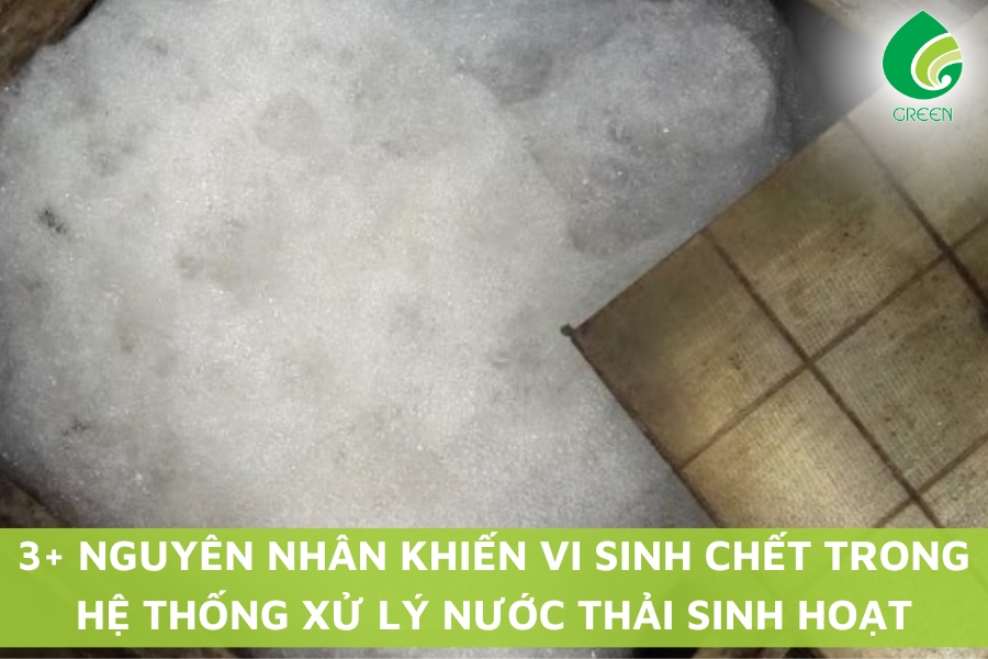 3+ Nguyên Nhân Khiến Vi Sinh Chết Trong Hệ Thống Xử Lý Nước Thải Sinh Hoạt