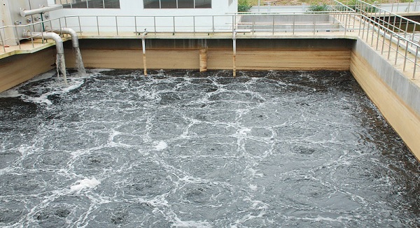 3 Phương Pháp Xử Lý Nước Nuôi Dưỡng Heo Hiệu Quả Nhất Hiện Nay