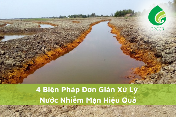 4 Biện Pháp Đơn Giản Xử Lý Nước Nhiễm Mặn Hiệu Quả