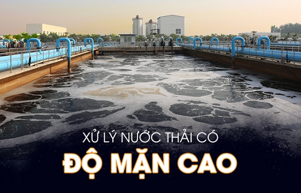 4 Phương Pháp Xử Lý Nước Thải Có Độ Mặn Cao Hiệu Quả Nhất