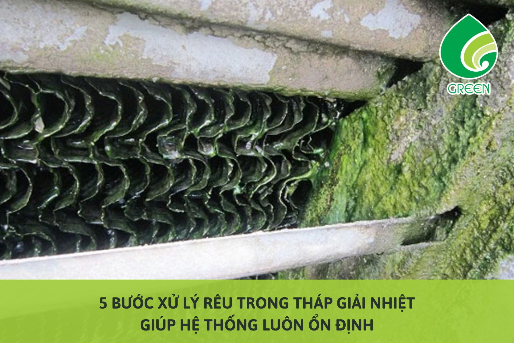 5 Bước Xử Lý Rêu Trong Tháp Giải Nhiệt Giúp Hệ Thống Luôn Ổn Định