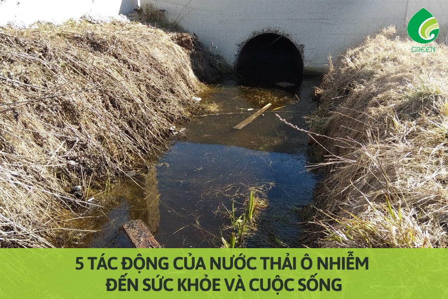 5 Tác Động Của Nước Thải Ô Nhiễm Đến Sức Khỏe và Cuộc Sống