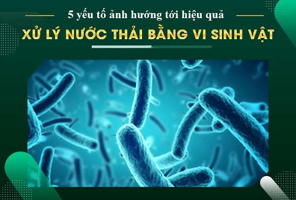 5 Yếu Tố Ảnh Hưởng Tới Hiệu Quả Xử Lý Nước Thải Bằng Vi Sinh
