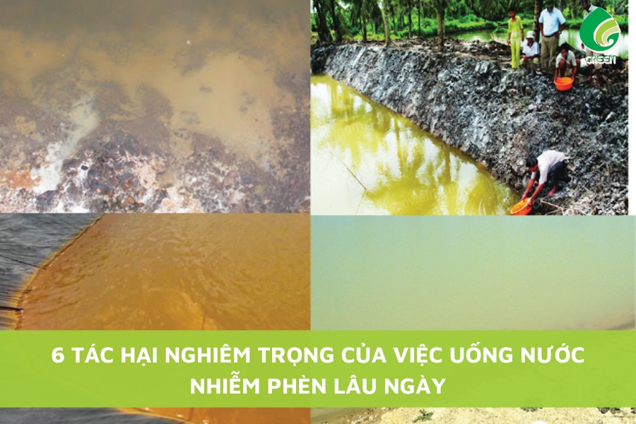 6 Tác Hại Nghiêm Trọng Của Việc Uống Nước Nhiễm Phèn Lâu Ngày