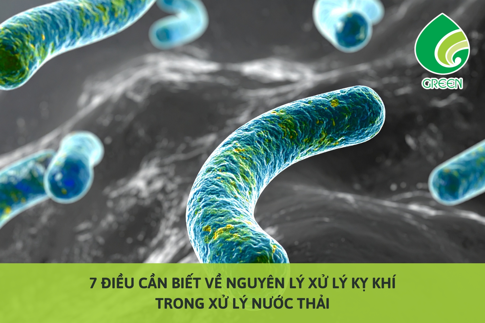 7 Điều Cần Biết Về Nguyên Lý Xử Lý Kỵ Khí Trong Xử Lý Nước Thải