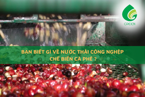 Bạn Biết Gì Về Nước Thải Công Nghiệp Chế Biến Cà Phê?