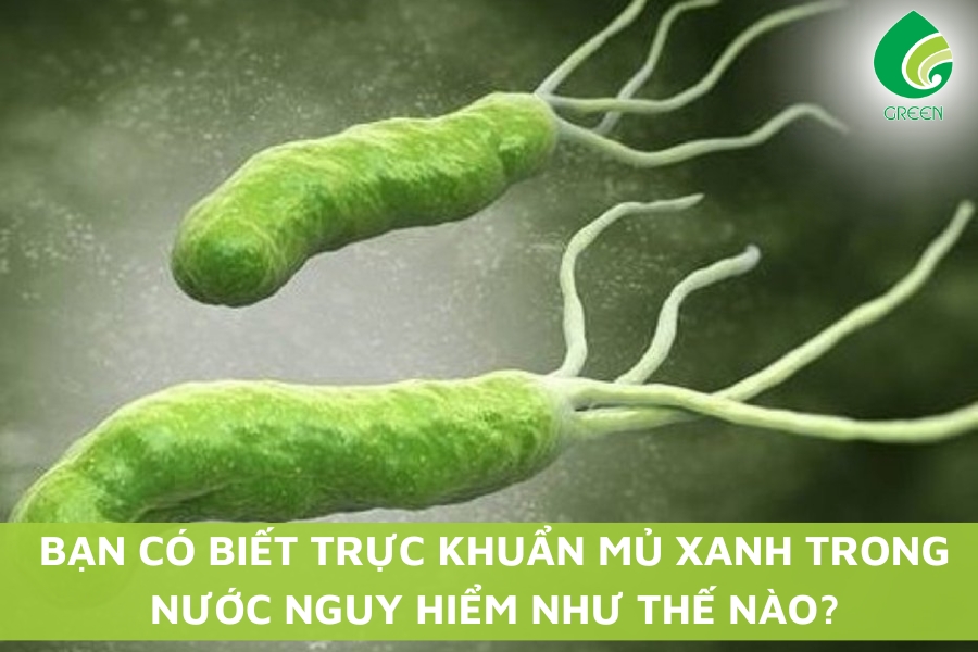 Bạn Có Biết Trực Khuẩn Mủ Xanh Trong Nước Nguy Hiểm Như Thế Nào?