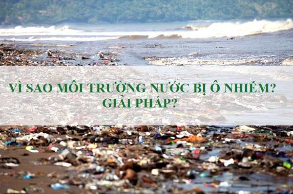 [Bạn Có Biết] Vì Sao Môi Trường Nước Bị Ô Nhiễm? Giải Pháp