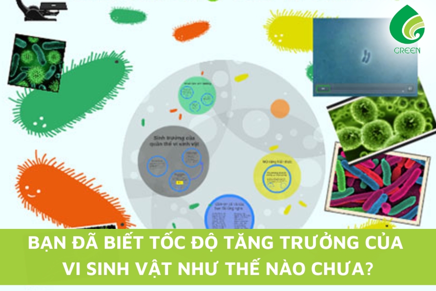 Bạn Đã Biết Tốc Độ Tăng Trưởng Của Vi Sinh Vật Như Thế Nào Chưa?
