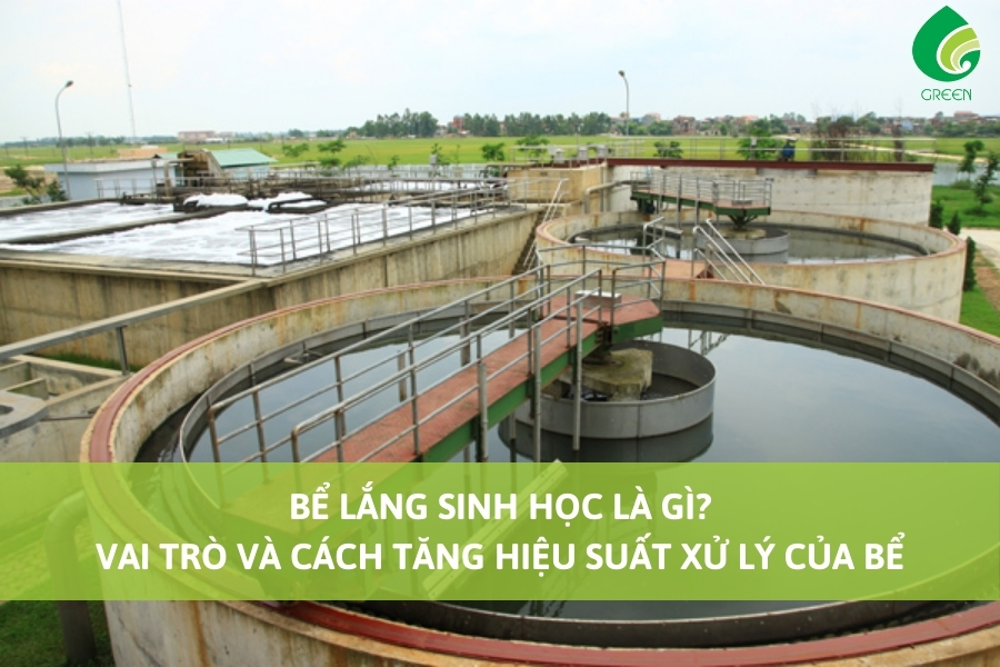 Bể Lắng Sinh Học Là Gì? Vai Trò Và Cách Tăng Hiệu Suất Xử Lý Của Bể