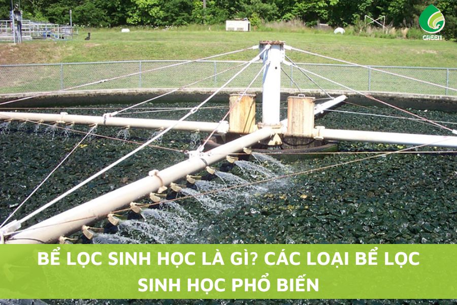 Bể Lọc Sinh Học Là Gì? Các Loại Bể Lọc Sinh Học Phổ Biến