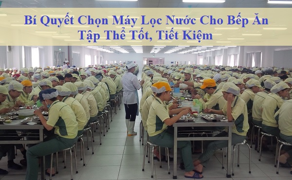 Bí Quyết Chọn Máy Lọc Nước Cho Bếp Ăn Tập Thể Tốt, Tiết Kiệm
