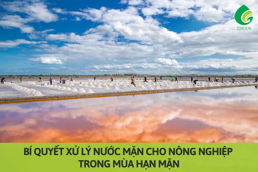 Bí Quyết Xử Lý Nước Mặn Cho Nông Nghiệp Trong Mùa Hạn Mặn