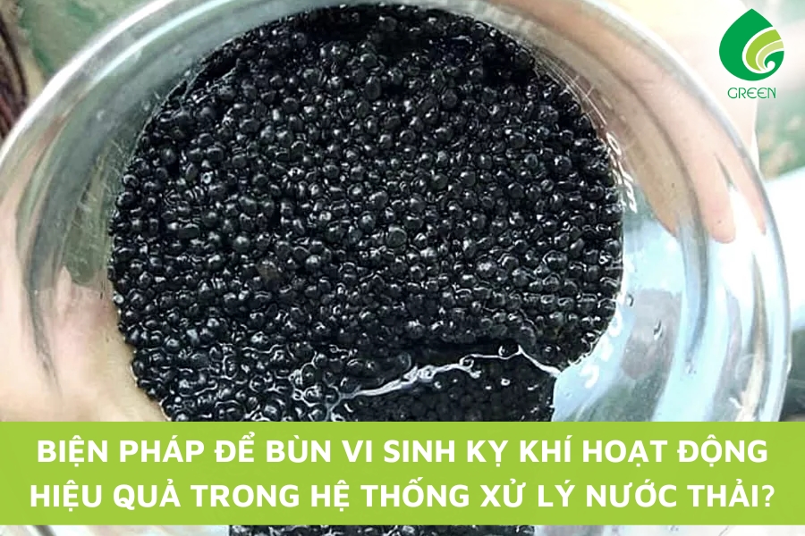 Biện Pháp Để Bùn Vi Sinh Kỵ Khí Hoạt Động Hiệu Quả Trong Hệ Thống Xử Lý Nước Thải?