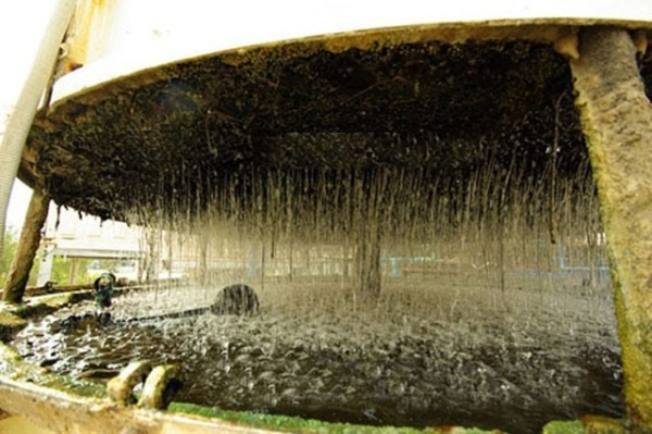 Các Cách Xử Lý Rong Rêu Cho Hệ Thống Làm Mát Nhanh Nhất