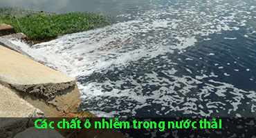 Trong nước thải có các chất gây ô nhiễm nào?