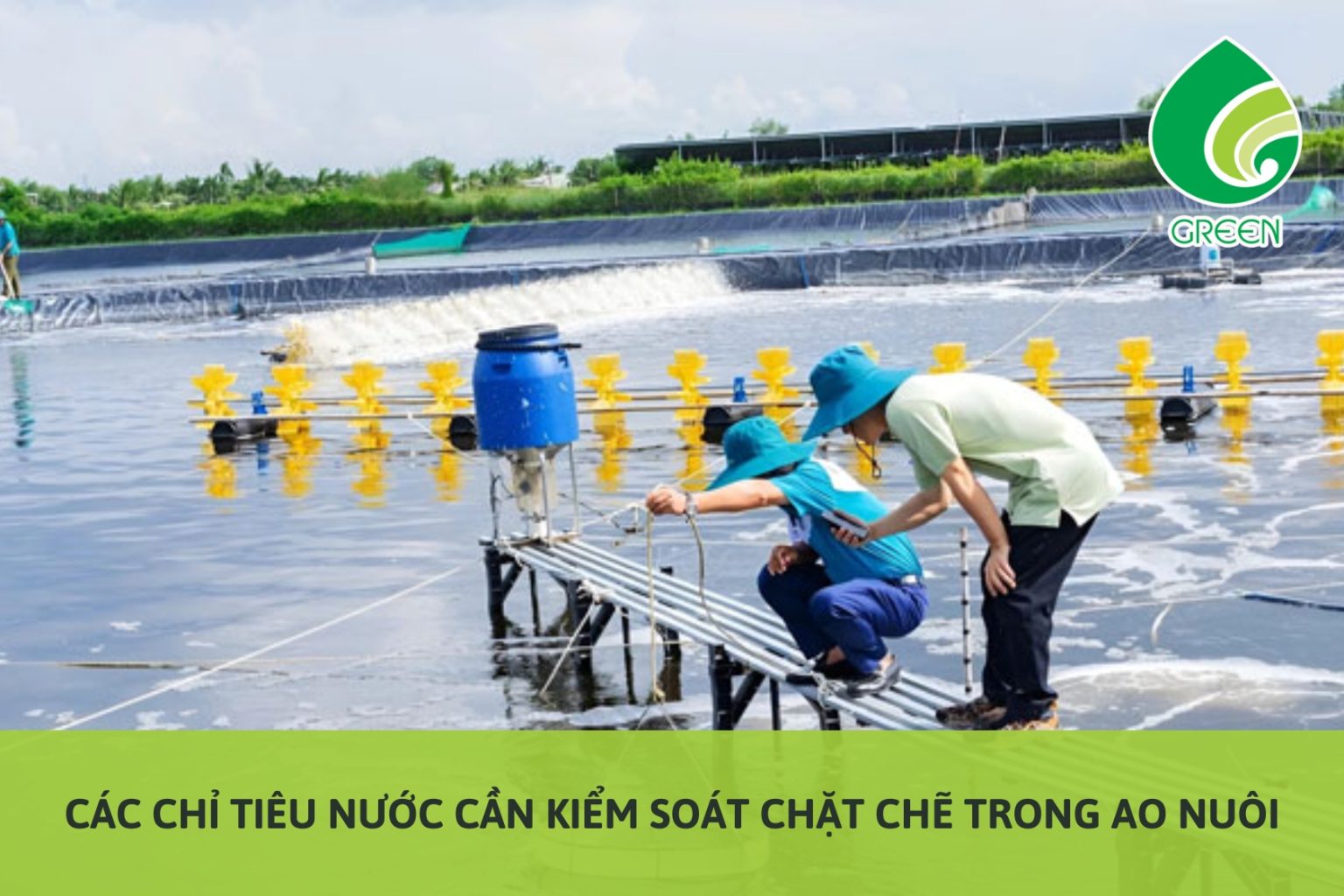 Các Chỉ Tiêu Nước Cần Kiểm Soát Chặt Chẽ Trong Ao Nuôi