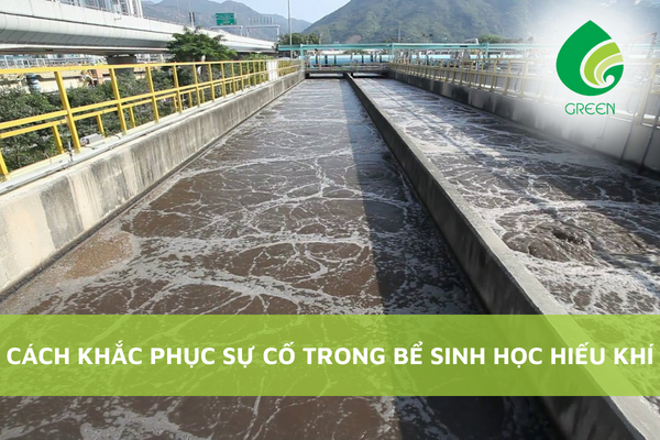 Cách Khắc Phục Sự Cố Trong Bể Sinh Học Hiếu Khí