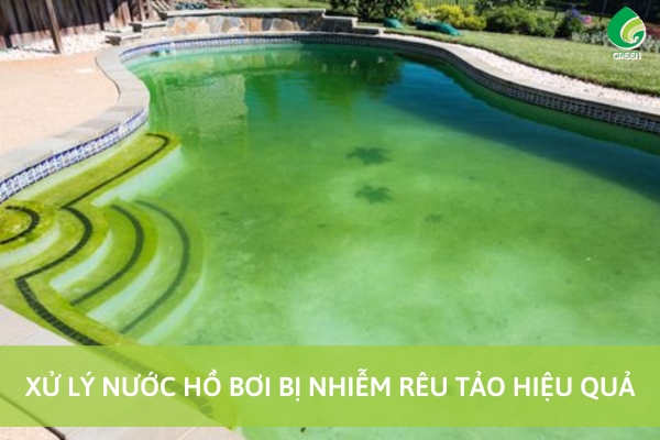 Cách Xử Lý Nước Hồ Bơi Bị Nhiễm Rêu Tảo Hiệu Quả