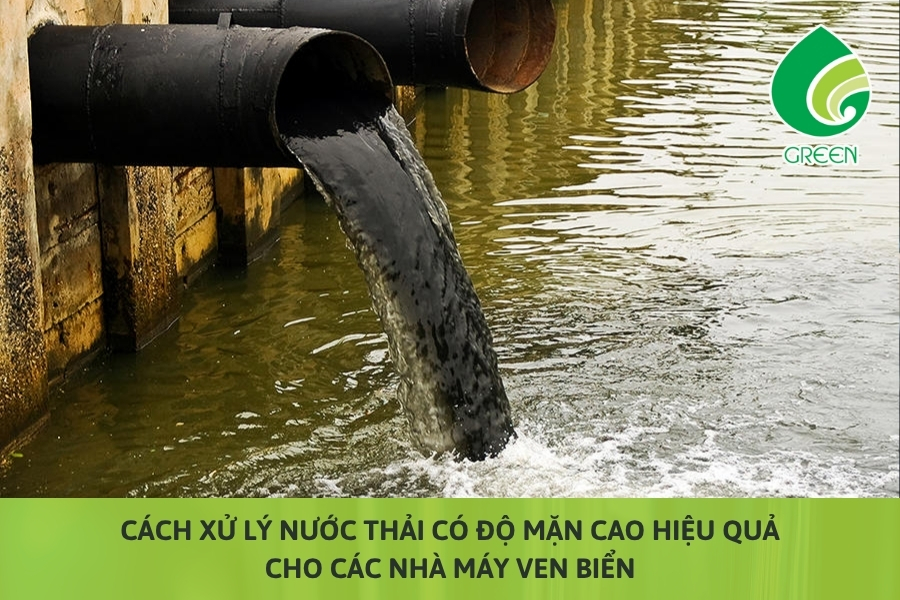 Cách Xử Lý Nước Thải Có Độ Mặn Cao Hiệu Quả Cho Các Nhà Máy Ven Biển