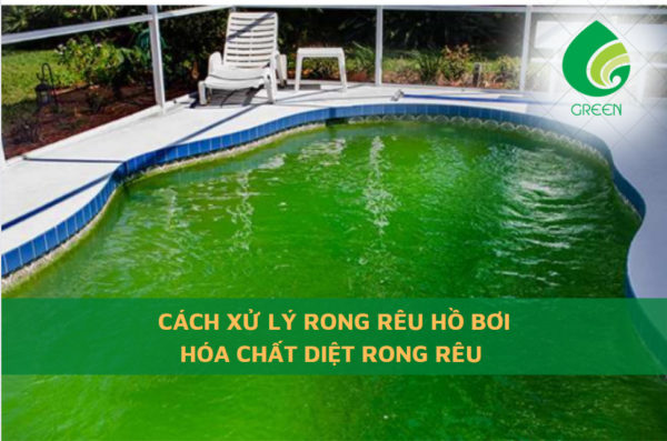 Cách Xử Lý Rong Rêu Hồ Bơi - Hóa Chất Diệt Rong Rêu