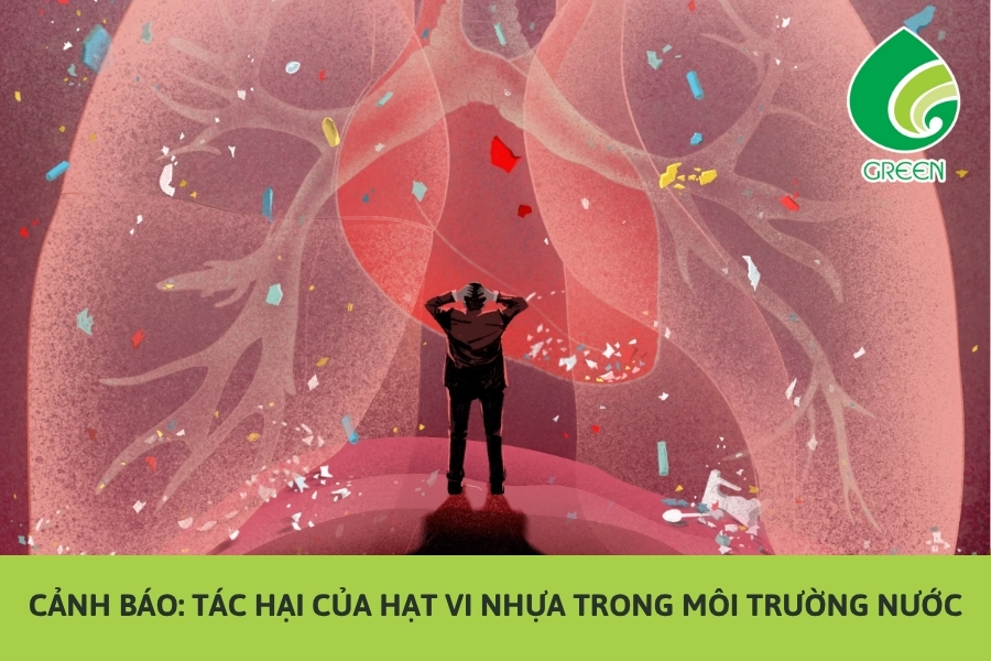 Cảnh Báo: Tác Hại Của Hạt Vi Nhựa Trong Môi Trường Nước