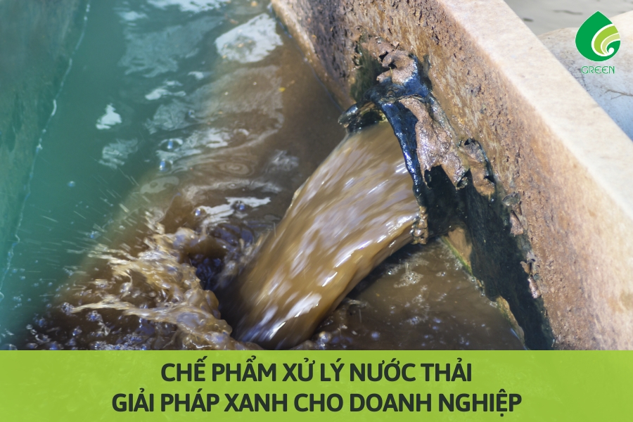 Chế Phẩm Xử Lý Nước Thải: Giải Pháp Xanh Cho Doanh Nghiệp