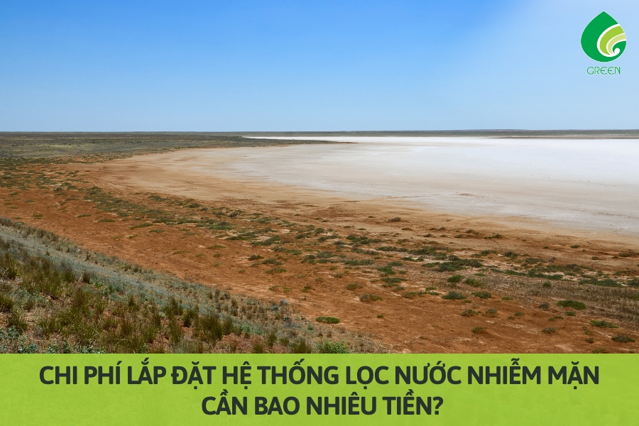 Chi Phí Lắp Đặt Hệ Thống Lọc Nước Nhiễm Mặn – Cần Bao Nhiêu Tiền?