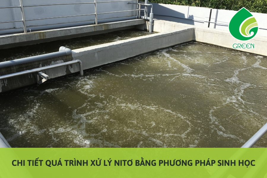 Chi Tiết Quá Trình Xử Lý Nitơ Bằng Phương Pháp Sinh Học