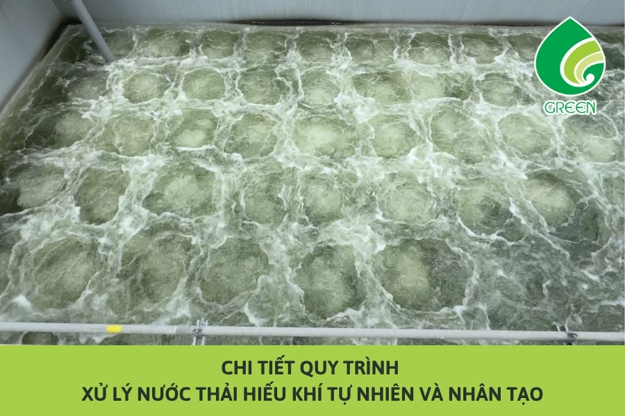 Chi Tiết Quy Trình Xử Lý Nước Thải Hiếu Khí Tự Nhiên Và Nhân Tạo