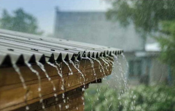 Chuyên Gia Bật Mí Cách Xây Bể Chứa Nước Mưa Đạt Chuẩn Tại Nhà