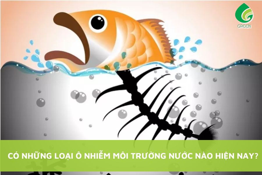 Có Những Loại Ô Nhiễm Môi Trường Nước Nào Hiện Nay?