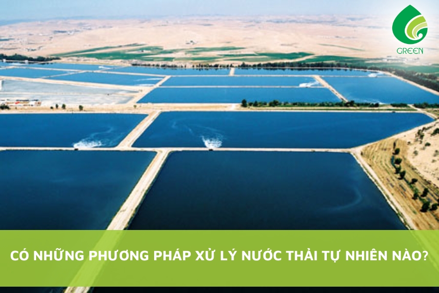 Có Những Phương Pháp Xử Lý Nước Thải Tự Nhiên Nào?