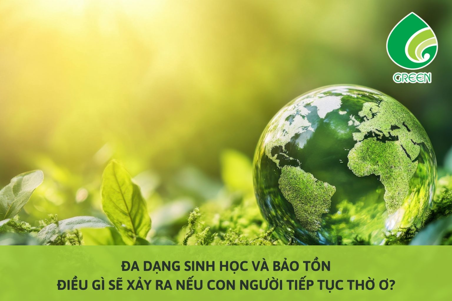 Đa Dạng Sinh Học Và Bảo Tồn: Điều Gì Sẽ Xảy Ra Nếu Con Người Tiếp Tục Thờ Ơ?