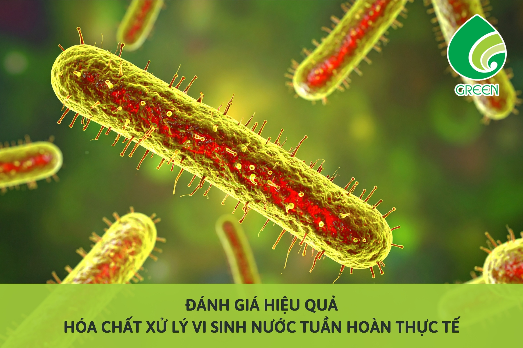 Đánh Giá Hiệu Quả Hóa Chất Xử Lý Vi Sinh Nước Tuần Hoàn Thực Tế