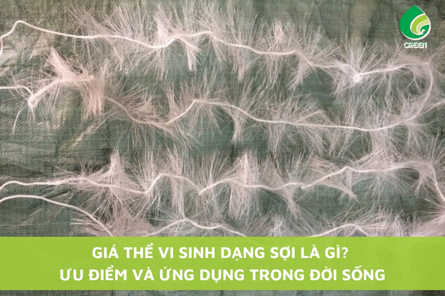 Giá Thể Vi Sinh Dạng Sợi Là Gì? Ưu Điểm Và Ứng Dụng Trong Đời Sống