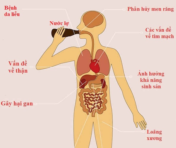 [Giải đáp] Nước Lợ Là Gì, Cách Xử Lý Nước Lợ Thành Nước Uống