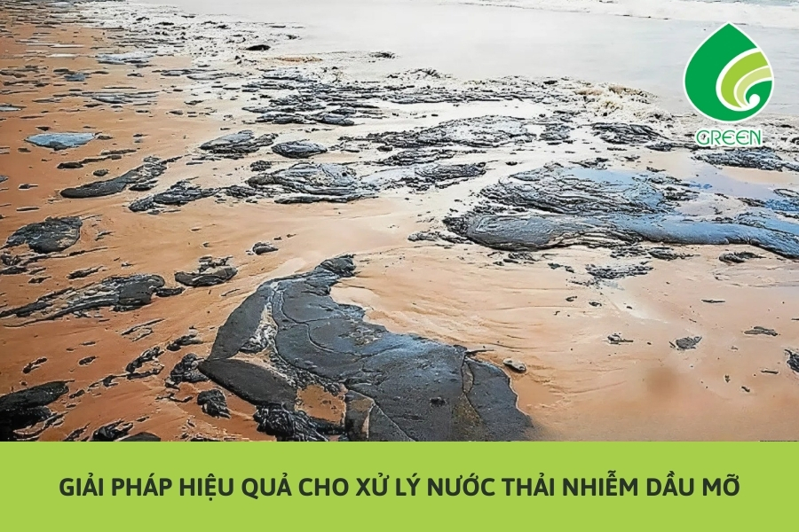 Giải Pháp Hiệu Quả Cho Xử Lý Nước Thải Nhiễm Dầu Mỡ