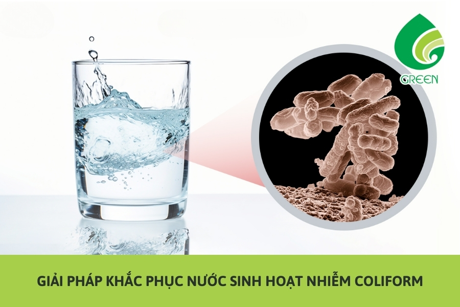 Giải Pháp Khắc Phục Nước Sinh Hoạt Nhiễm Coliform