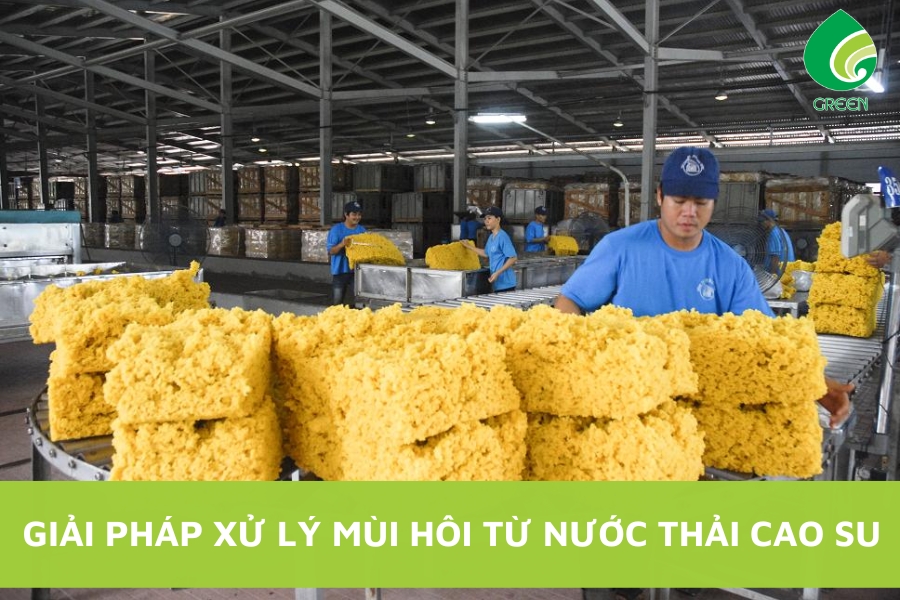 Giải Pháp Xử Lý Mùi Hôi Từ Nước Thải Cao Su