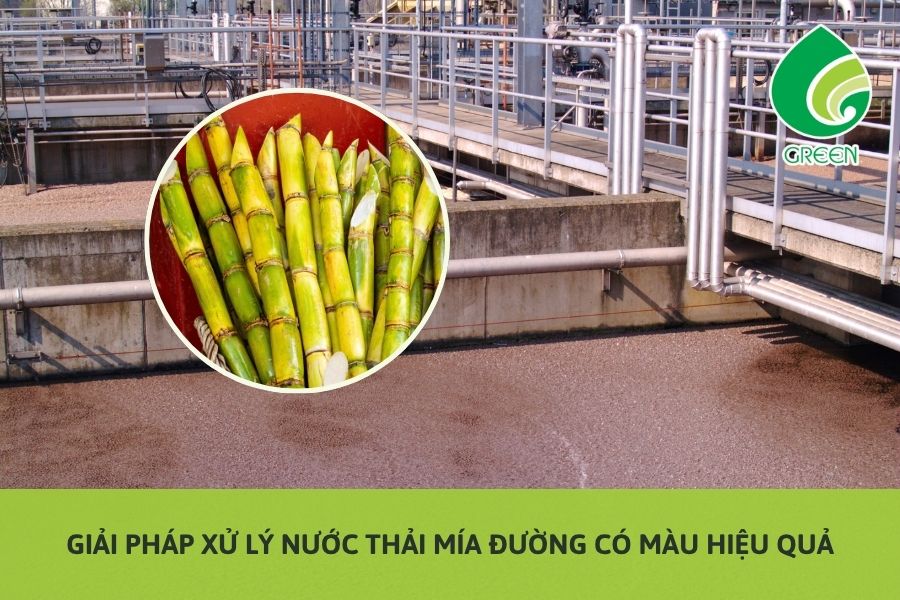 Giải Pháp Xử Lý Nước Thải Mía Đường Có Màu Hiệu Quả