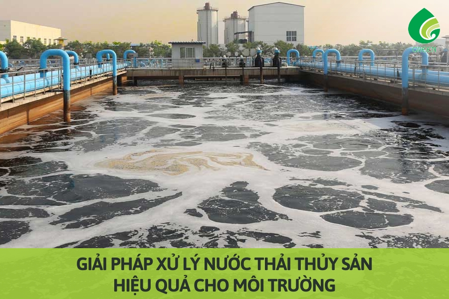 Giải Pháp Xử Lý Nước Thải Thủy Sản Hiệu Quả Cho Môi Trường